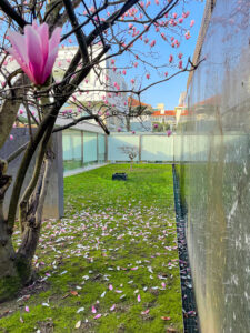 clinica santa barbara traseiras