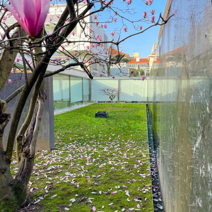 clinica santa barbara traseiras